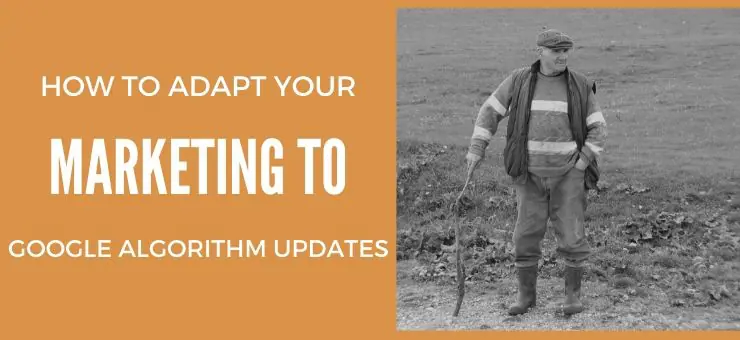 How to Adapt Your Marketing to Google Algorithm Updates